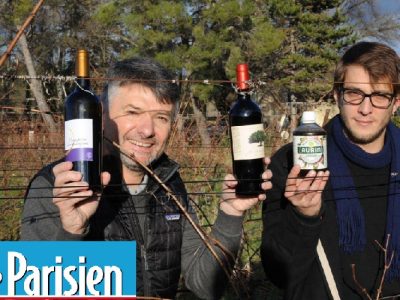 7976595_98dd7006-08f7-11e9-9e40-07b7598373f6-1_1000x625