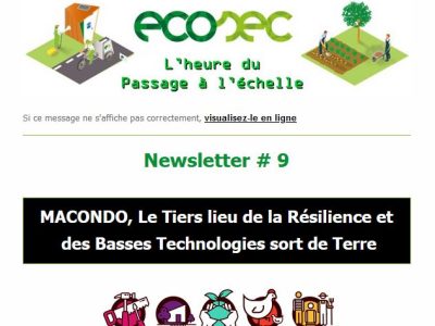 newsletter